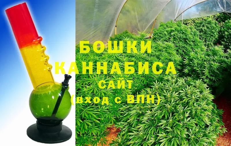 хочу   Карталы  Бошки марихуана SATIVA & INDICA 